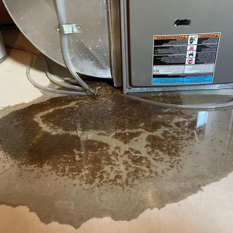 Pipe Burst and Leak Restoration in Murdo, SD