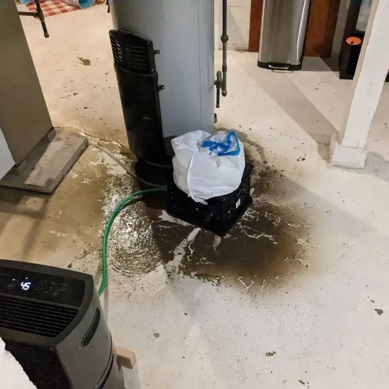 Sewage Backup Cleanup Service in Murdo, SD